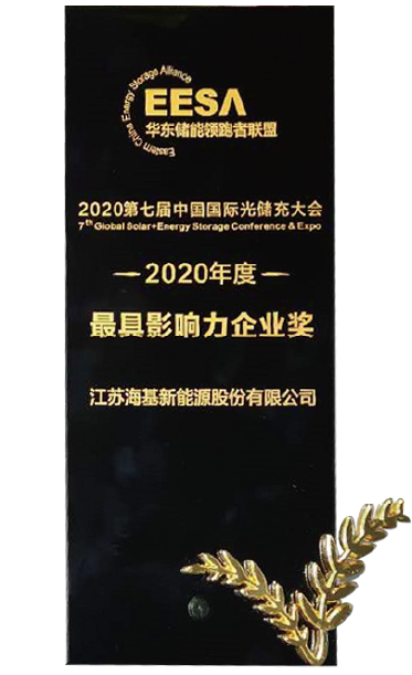 2020年最具影响力企业奖